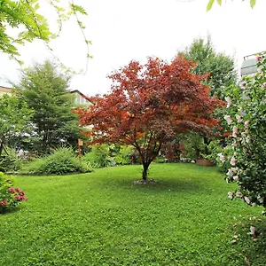 Nigler Apartamento