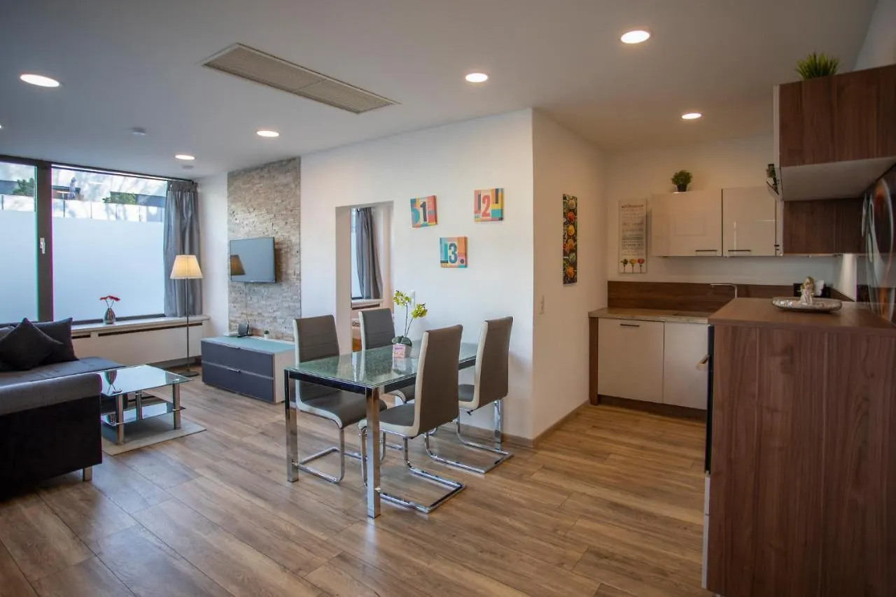 Innsbruck City Apartment + 1 Free Parking Spot